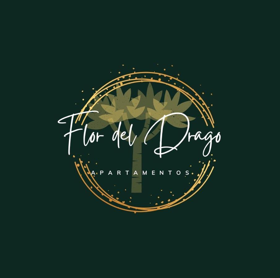 Flor Del Drago Apartment Icod De Los Vinos Exterior photo
