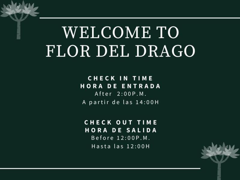 Flor Del Drago Apartment Icod De Los Vinos Exterior photo